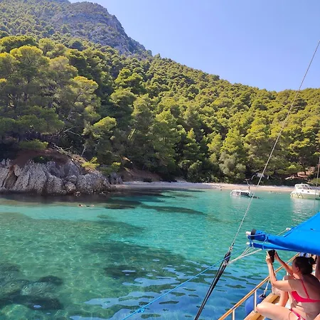 Little Owl - In The Olive Groves *